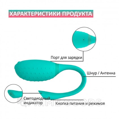 Виброяйцо Magic Motion Fugu, зеленый от sex shop primegoods фото 2