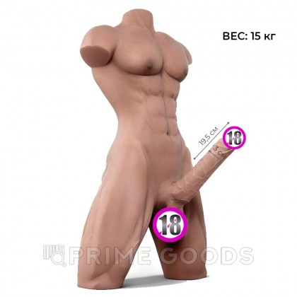 Сексуальный мужской торс с пенисом (15 кг) от sex shop primegoods фото 2