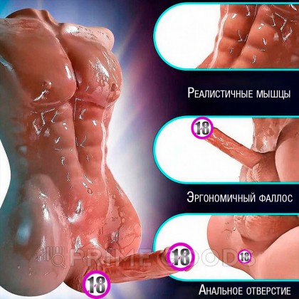 Сексуальный мужской торс с пенисом CompanionX Jeff 9 кг от sex shop primegoods фото 5