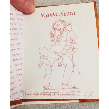Кама Сутра New Delhi (книга на русском языке) от sex shop primegoods фото 4