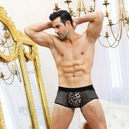 Мужские трусы-сетка от sex shop primegoods фото 2