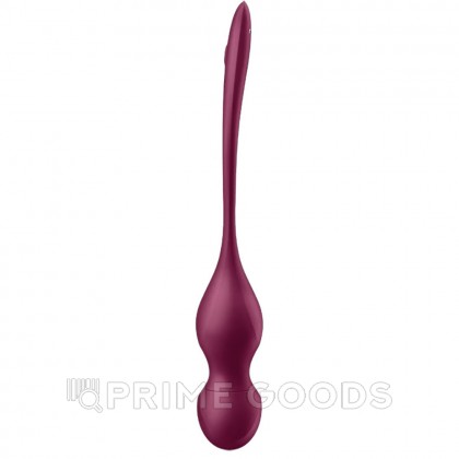 Тренажер Кегеля Satisfyer Love Birds Vary (Connect App) бордовый от sex shop primegoods