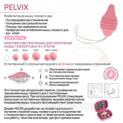 Набор для тренировок интимных мышц Pelvix от FEMINTIMATE от sex shop primegoods фото 3