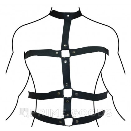Кожаная портупея на шею, грудь, пояс от sex shop primegoods