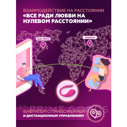 Виброяйцо для точки G с управлением через приложение Lush 4 от Lovense от sex shop primegoods фото 8