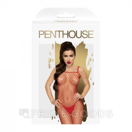 Бодисетка красная Penthouse (XL) от sex shop primegoods фото 3