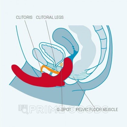 Страпон SHAREVIBE фиолетовый от Fun factory от sex shop primegoods фото 5