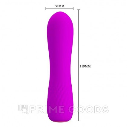 Мини вибратор перезаряжаемый Beau (11,9 см.) от sex shop primegoods фото 8