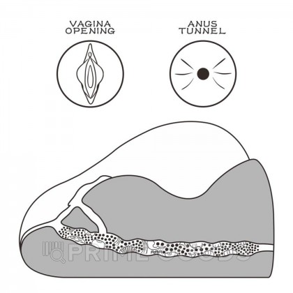 Двойной мастурбатор Streetgirl's № 2 (вагина+анус) от sex shop primegoods фото 3