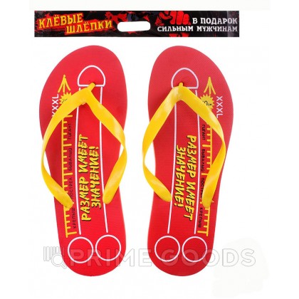 Сланцы мужские 