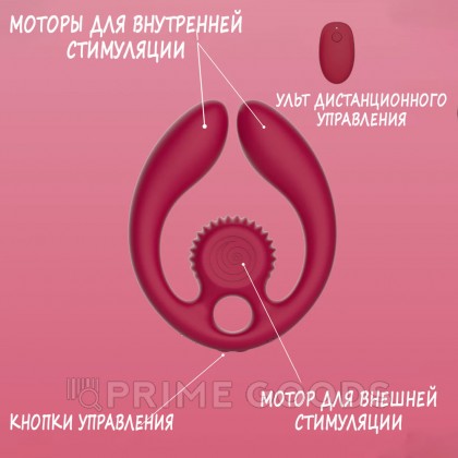 Стимулятор для пар SVibe Snail GIZI DUO бордовый от sex shop primegoods фото 3