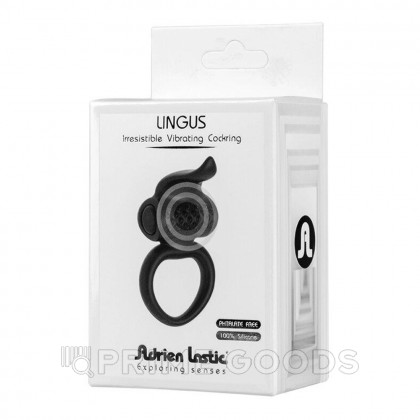 Эрекционное виброкольцо Lingus черное от Adrien lastic от sex shop primegoods фото 4
