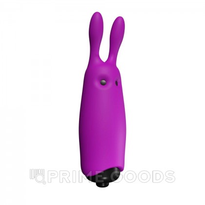Карманный вибратор-кролик Rabbit Adrien Lastic фиолетовый от sex shop primegoods фото 4