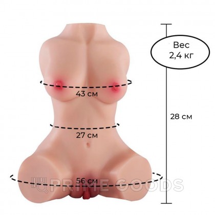 Сексуальный женский торс с вагиной и анусом Susie от sex shop primegoods фото 7