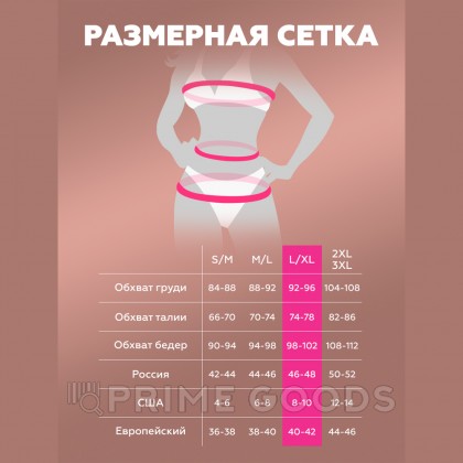 Базовый комплект из бюстгалтера, стрингов и широкого пояса для чулок (Base) (S/M) от sex shop primegoods фото 5
