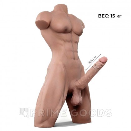 Сексуальный мужской торс с пенисом (15 кг) от sex shop primegoods фото 2