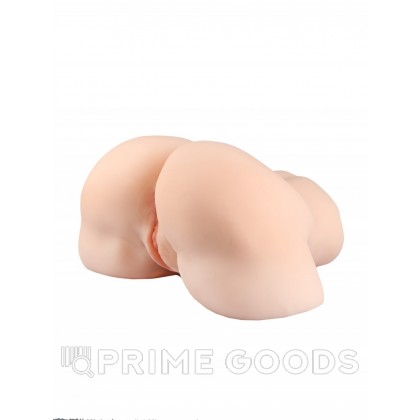 Мастурбатор женский торс (попка, вагина) от sex shop primegoods