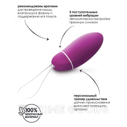 Инновационный вибратор Luna Smart Bead (LELO) от sex shop primegoods фото 6