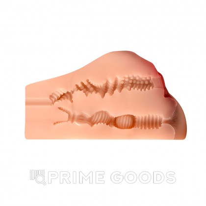 Реалистичный двойной мастурбатор Thulma, вагина+анус от sex shop primegoods фото 6