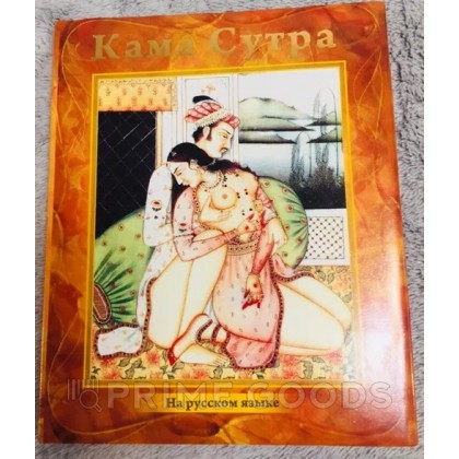 Кама Сутра New Delhi (книга на русском языке) от sex shop primegoods фото 2