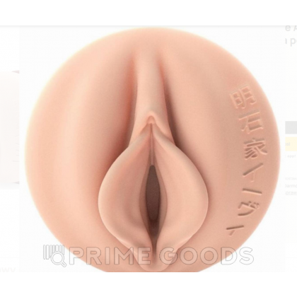 Мастурбатор Fleshlight Fantasy Evie Akashiya Sho Akuma (вагина) от sex shop primegoods фото 3