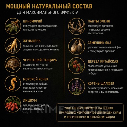 Возбуждающее средство для мужчин Russia (10 таб.) от sex shop primegoods фото 3