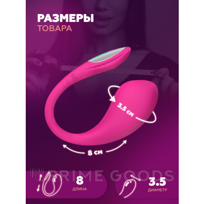 Виброяйцо для точки G с управлением через приложение Lush 4 от Lovense от sex shop primegoods фото 10