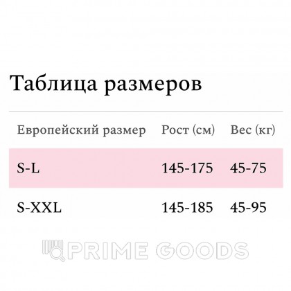 Боди-комбинезон с доступом Amor El Esponela в сетку со стразами  XL-XXL от sex shop primegoods фото 3