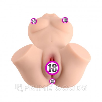 Сексуальный женский торс с вагиной и анусом Susie от sex shop primegoods фото 6