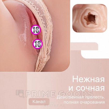 Женское сексуальное тело с большой грудью Erica от sex shop primegoods фото 5