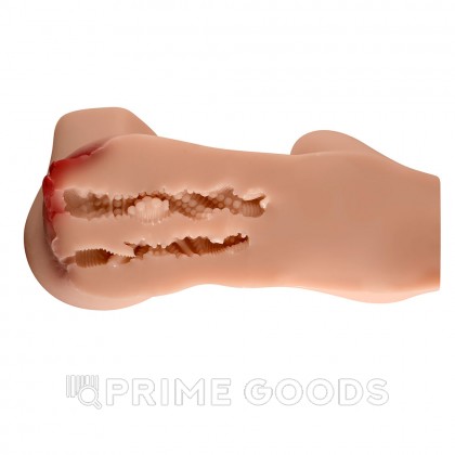 Сексуальный женский торс с вагиной и анусом Susie от sex shop primegoods фото 4