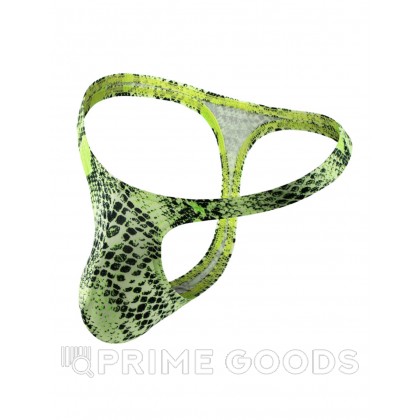 Мужские стринги Snakeskin (L) от sex shop primegoods фото 3