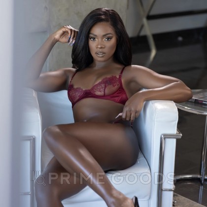 FLESHLIGHT SIGNATURE Мастурбатор Ana Foxxx Silk, вагина от sex shop primegoods фото 2