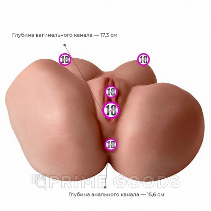 Женский торс Helena от Silexd от sex shop primegoods фото 4