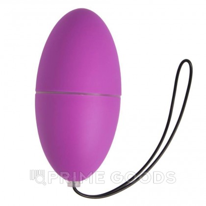 Виброяйцо Magic Egg фиолетовый с пультом ДУ от Alive от sex shop primegoods фото 4