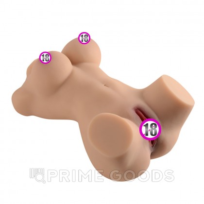 Сексуальный женский торс с вагиной и анусом Vera от sex shop primegoods фото 5