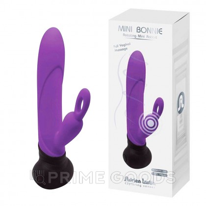 Мини вибратор-кролик Bonnie & Clyde лиловый от Adrien Lastic от sex shop primegoods