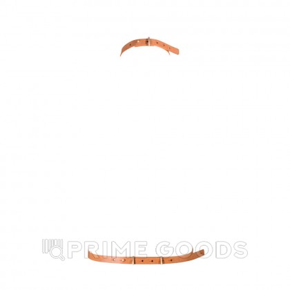 Портупея Maze-I Harness от Bijoux от sex shop primegoods фото 2