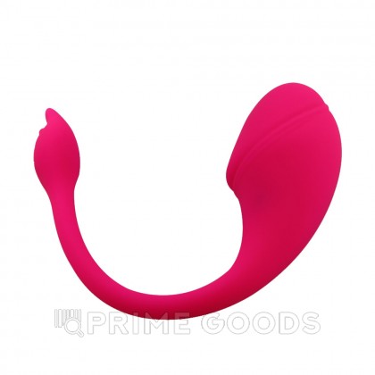Виброяйцо с управлением через приложение Sharp tail от sex shop primegoods фото 2