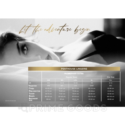 Бодисетка черная Penthouse от sex shop primegoods фото 3