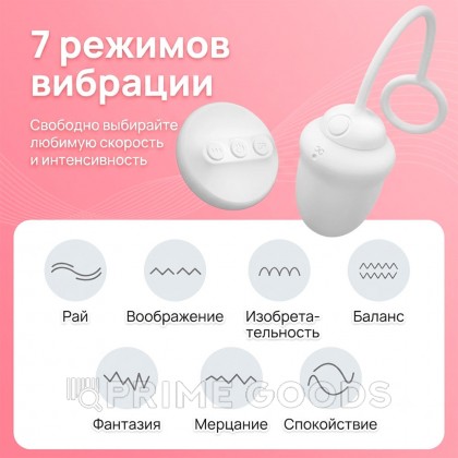 Виброяйцо DryWell Scarlett на дистанционном пульте управления от sex shop primegoods фото 6