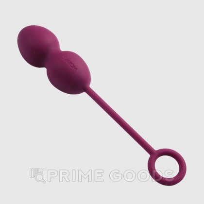 Набор тренажеров Кегеля Nova со смещенным центром тяжести от SVAKOM от sex shop primegoods фото 3