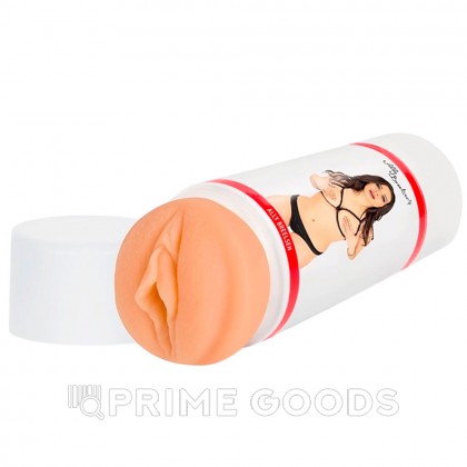Двухсторонний мастурбатор ФлешНаш Элли Брилсен 2.0, 22х8 см от sex shop primegoods