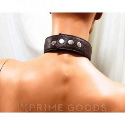 Сбруя с ошейником из темно-шоколадной кожи от sex shop primegoods фото 4