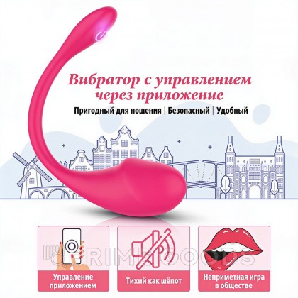 Виброяйцо с управлением через приложение Love spouse APP от sex shop primegoods фото 9