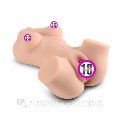 Сексуальный женский торс с вагиной и анусом Susie от sex shop primegoods фото 7