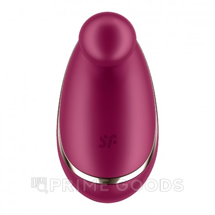 Стимулятор клитора Satisfyer Spot On бордовый от sex shop primegoods фото 3