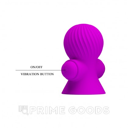 Стимулятор сосков с вибрацией (2 шт.) фиолетовый от sex shop primegoods фото 8