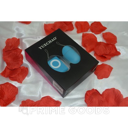 Вибро яйцо с пультом, 20 режимов от sex shop primegoods