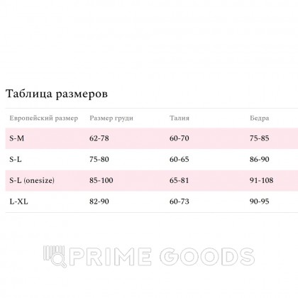 Боди эротический кружевной Amor El Siero S/M от sex shop primegoods фото 2